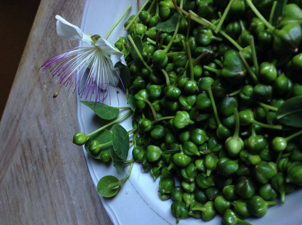 Salsa Verde Recipe with Tuscan capers Dievole