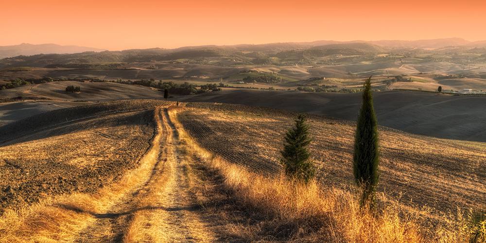 Five Films set in Tuscany Five Films set in Tuscany