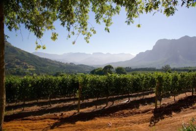Around the world travel for wine lovers