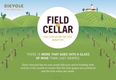 How is Wine Made? A Handy Infographic