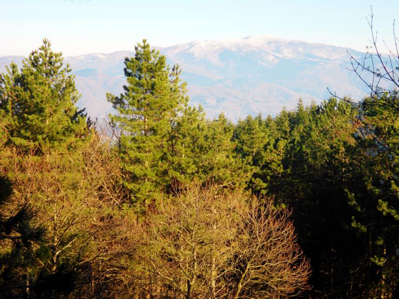 Mountain