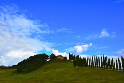 Cosa vedere a Montalcino: i posti migliori da visitare