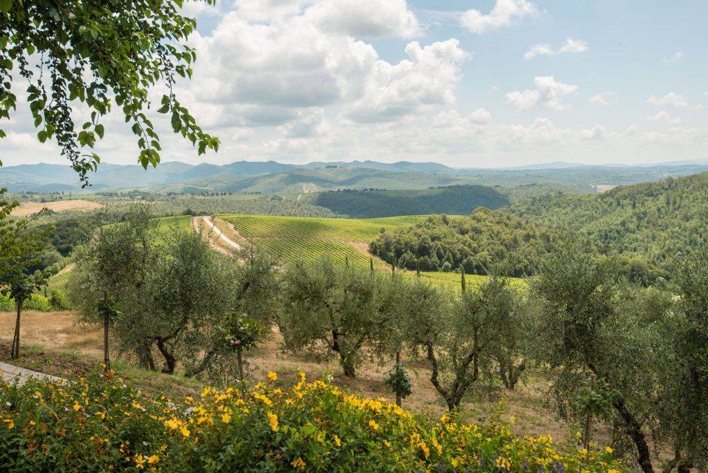 Chianti Landscape