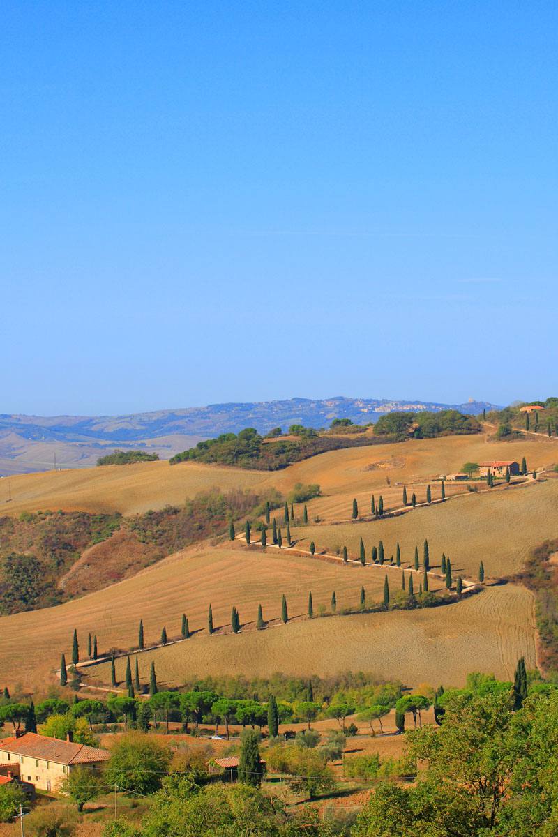 Cypress tree alley at la Foce, Tuscany