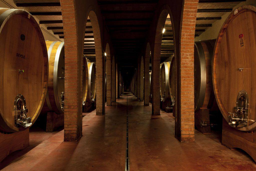 The cellar at Dievole