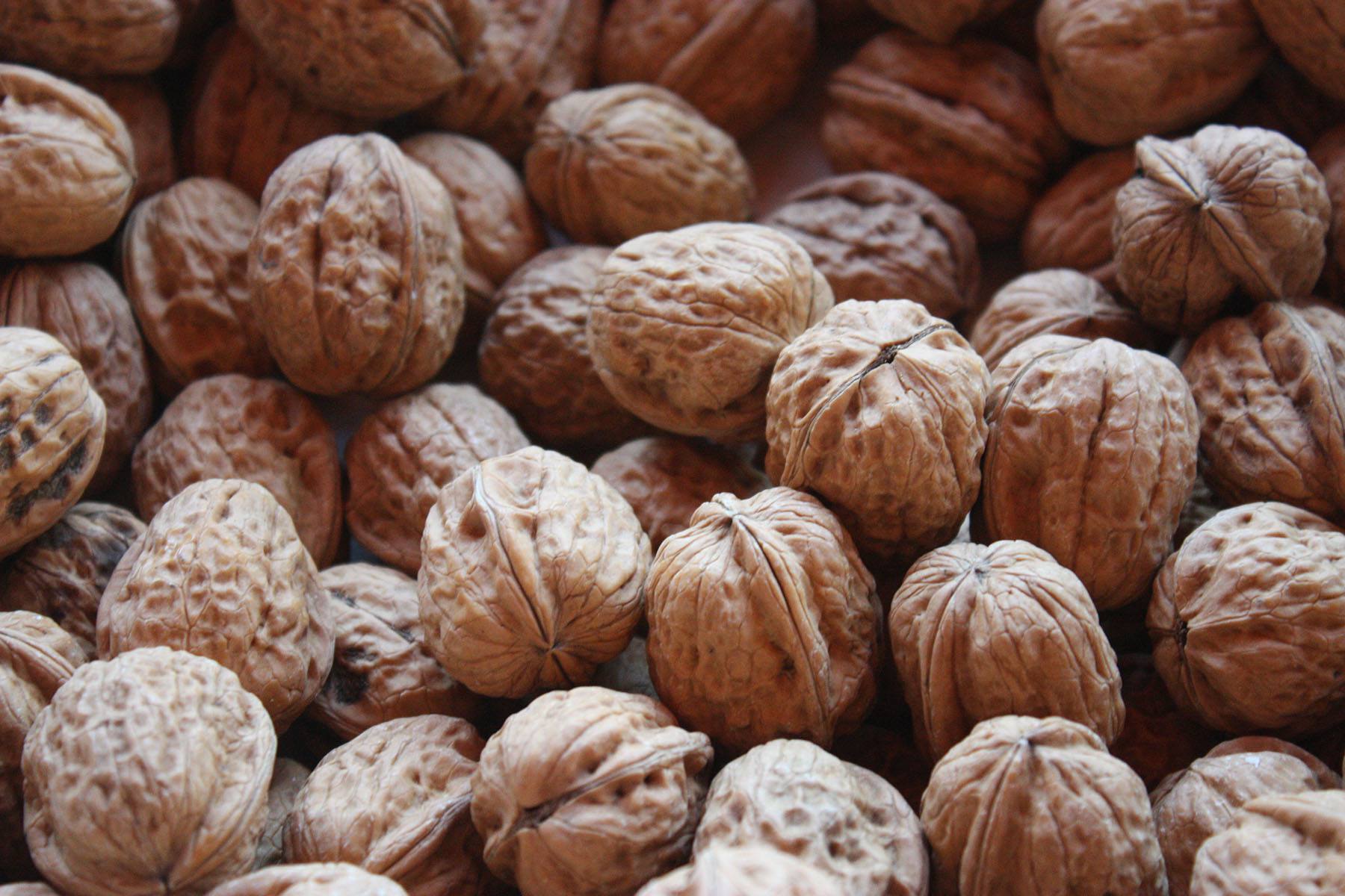 Walnuts often appear in Sayings about food! Walnuts often appear in Sayings about food!