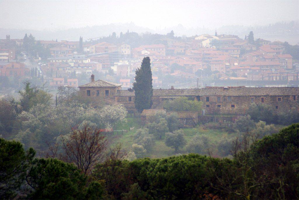 Take advantage of this culinary pitstop to visit the delightful town of Vagliagli!
