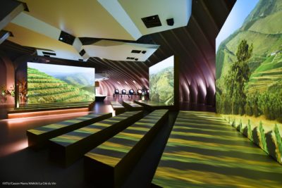 The world’s largest wine museum – and Dievole is there