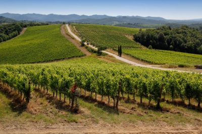 Un viaggio intorno al mondo per gli amanti del vino