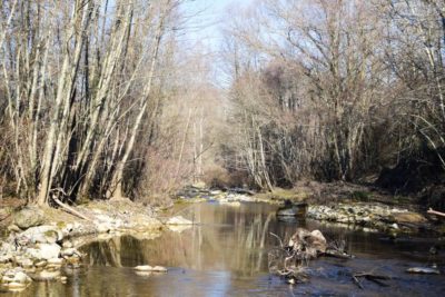 Il fiume Arbia