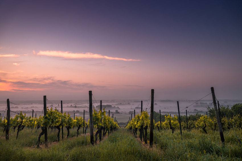 Slow life Toscana