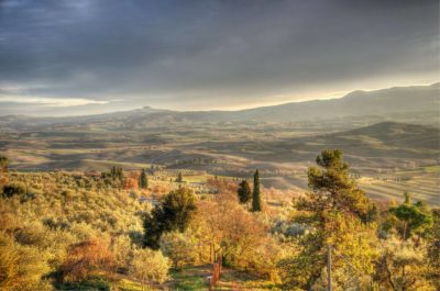 Gite di un giorno da Firenze per gli amanti del vino