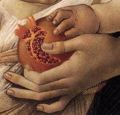 Weird Fruits: Lesser Known Fruits and Berries of Tuscany