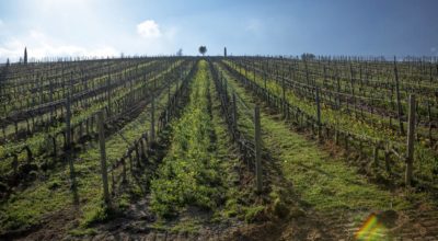 Visitare la Toscana: intervista al nostro direttore Stefano Capurso