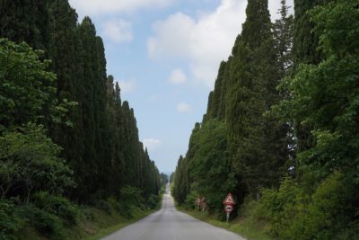 Visitare Bolgheri: Sole, Mare & Vino
