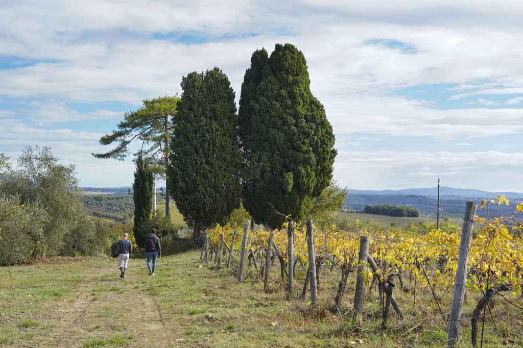 Lorenzo e Matteo tra le vigne e l'oliveta