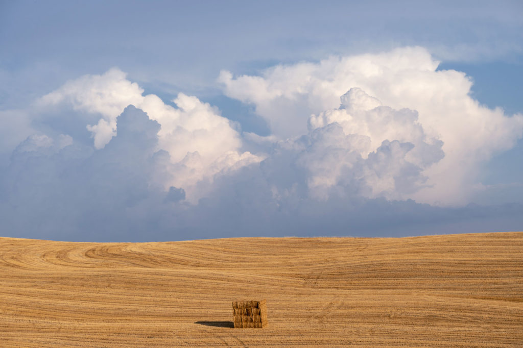 The summertime can be the best time to visit Tuscany The summertime can be the best time to visit Tuscany