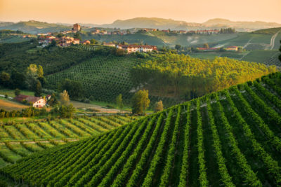 Piemonte per gli amanti del vino: itinerario gourmet sulla strada del Barolo
