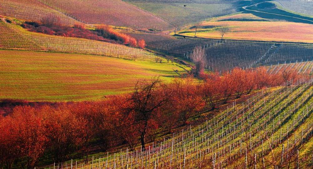 Piemonte - Piemonte Itinerario Vino