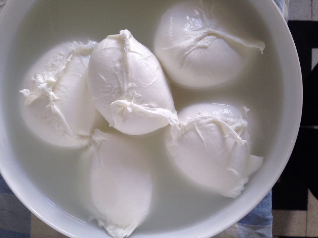 Mozzarella - Italian Cheese Mozzarella - Italian Cheese