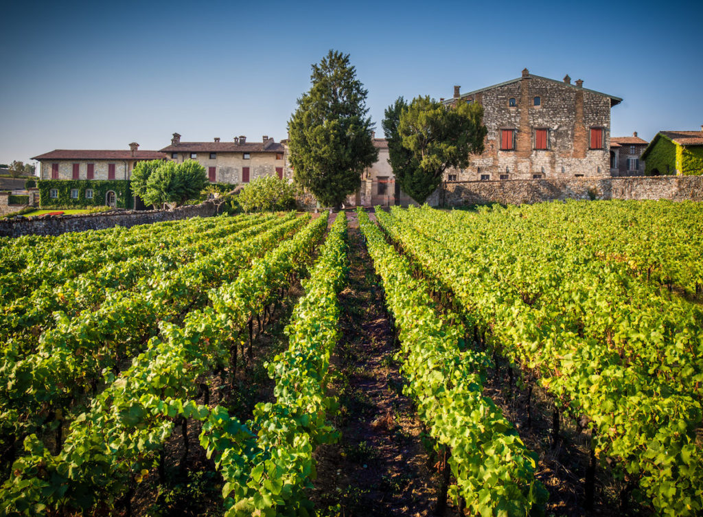 Cantina Guido - Guida essenziale al wine tourism in Lombardia