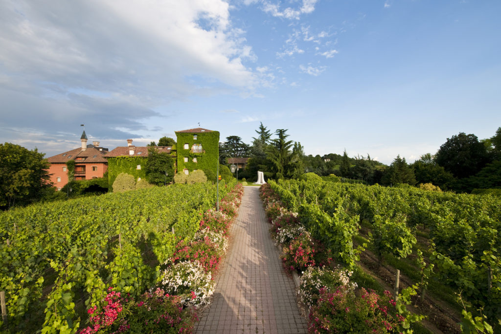 L'Albereta - Guida essenziale al wine tourism in Lombardia
