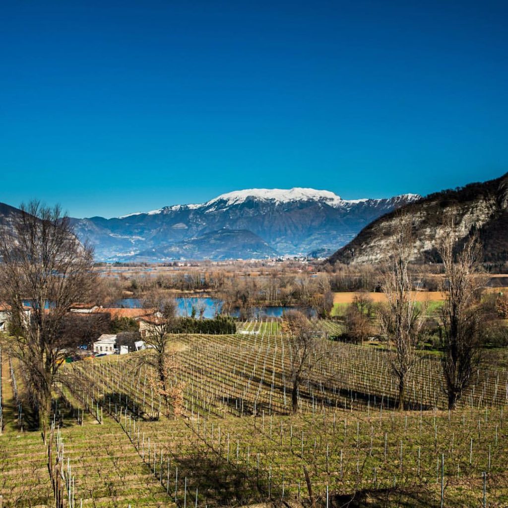 Strada del vino del Franciacorta - Guida essenziale al wine tourism in Lombardia
