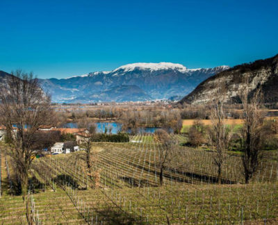 Veneto Wine Travel: a wine lovers’ itinerary in Amarone Territory