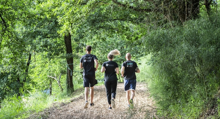 ANTS: Wellness activity in Dievole's environment