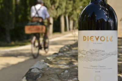 Delve into the mysteries of wine